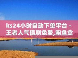 ks24小时自动下单平台(24小时自动下单小助手)