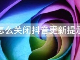 抖音月付没有关闭功能怎么办？关闭功能设置在哪里？，抖音月付关闭功能详解：如何找到并操作设置以停用该服务