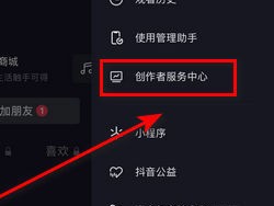 抖音查看违规情况怎么查？查看违规在哪里查？，抖音违规情况查询方法指南