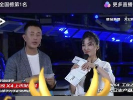 快手涨粉一元100个(快手涨粉一元100个什么意思)