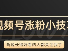 一点号粉丝数如何增加？有哪些策略？，一点号粉丝数增加的策略与方法