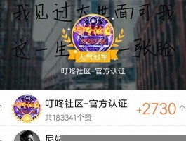 快手买100个赞(快手赞一百个)