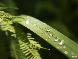 雨天拍摄视频技巧有哪些？需要注意什么？，雨天拍摄视频的五大技巧与注意事项