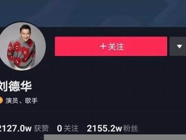 抖音粉丝 抖音粉丝如何再涨1000(抖音怎么让粉丝再涨1000)