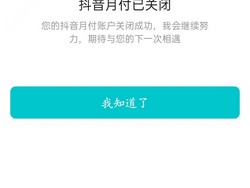 为什么抖音月付单笔超500用不了？它该怎么解决？，抖音月付单笔超500元无法使用？解决方案来了！