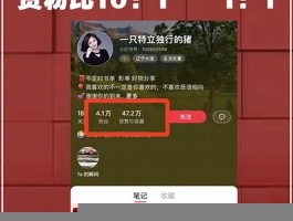 小红书赞自助式平台业务下单 全网下单业务最划算网址(小红书关注点赞挣钱吗)