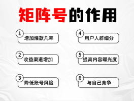 低成本抖音矩阵号怎么做？高效运作批量账号的秘诀揭秘，低成本抖音矩阵号运营秘籍：批量账号高效运作策略大公开