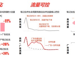 小红书聚光投流技巧和方法有哪些？聚光投流赞助怎么设置？，小红书聚光投流实战指南：高效技巧与赞助设置全解，小红书聚光投流全攻略：实战技巧与赞助设置详解