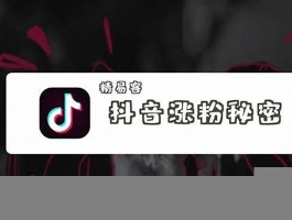 抖音视频粉丝怎样快速增加(抖音自动推广和引流app)