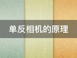 单反怎样拍摄视频？它的优点有哪些？，单反摄影技巧：如何用单反相机拍摄高质量视频及其优势解析