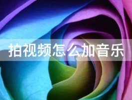 秒拍的视频怎么加音乐？音乐如何选择？，秒拍视频添加音乐教程：如何选择合适音乐？