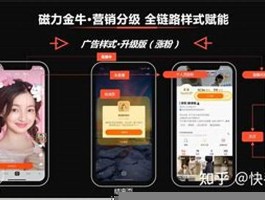 快手100个赞网站(快手100个赞的网站有哪些)