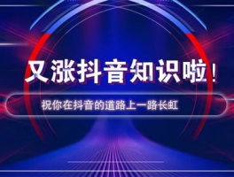 抖音业务24小时免费下单平台 dy业务低价自助下单转发,dy业务低价自助下单转发全解析