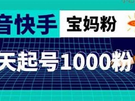 快手粉丝一元1000个(快手如何迅速有着1w粉丝)