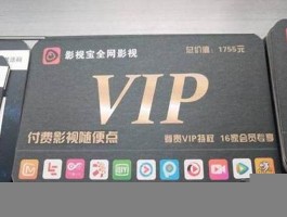 vip会员货源批发网站(vip会员货源批发网站百度云盘会员)